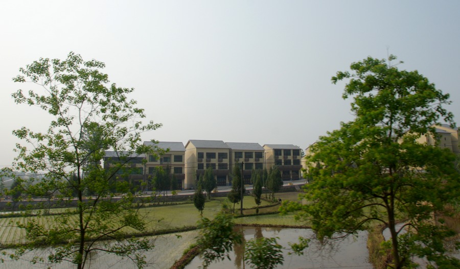 hui (13).JPG